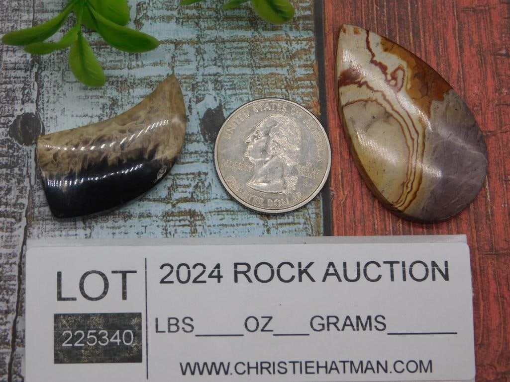 CABOCHONS ROCK STONE LAPIDARY SPECIMEN - 2