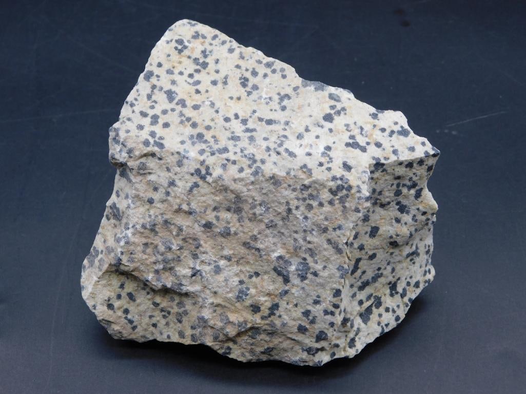 DALMATION JASPER ROCK STONE LAPIDARY SPECIMEN (1 of 2)