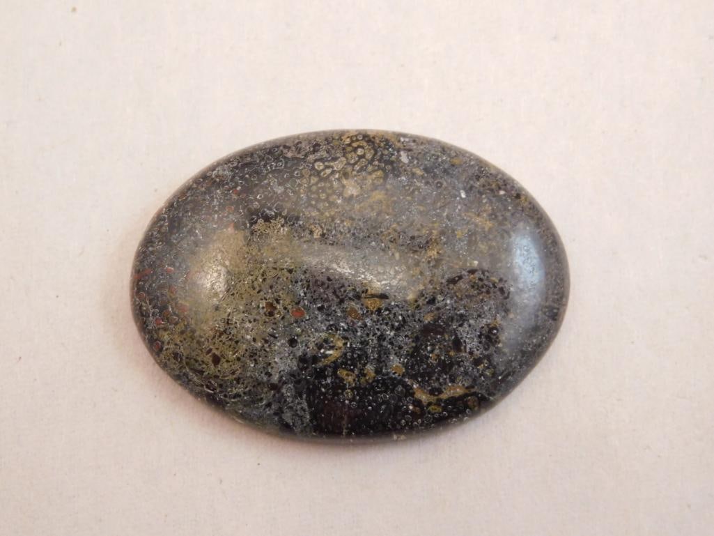 DINOSAUR BONE CABOCHON ROCK STONE LAPIDARY SPECIMEN: DINOSAUR BONE CABOCHON ROCK STONE LAPIDARY SPECIMEN
