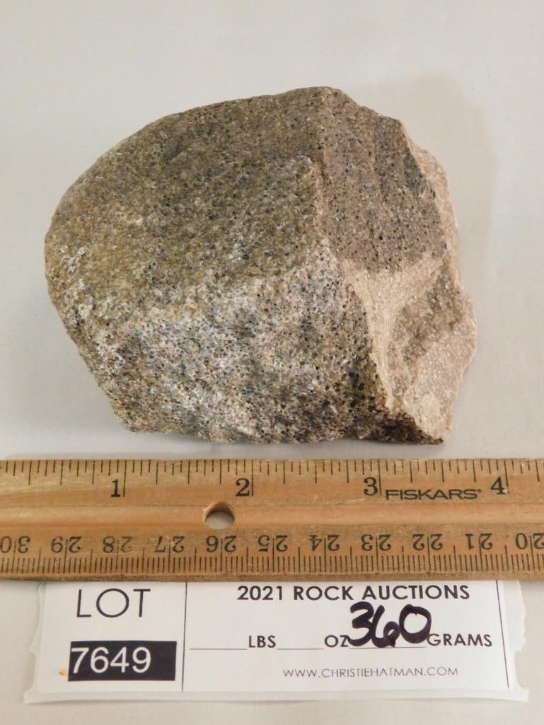 FOSSIL ROCK STONE LAPIDARY SPECIMEN - 2