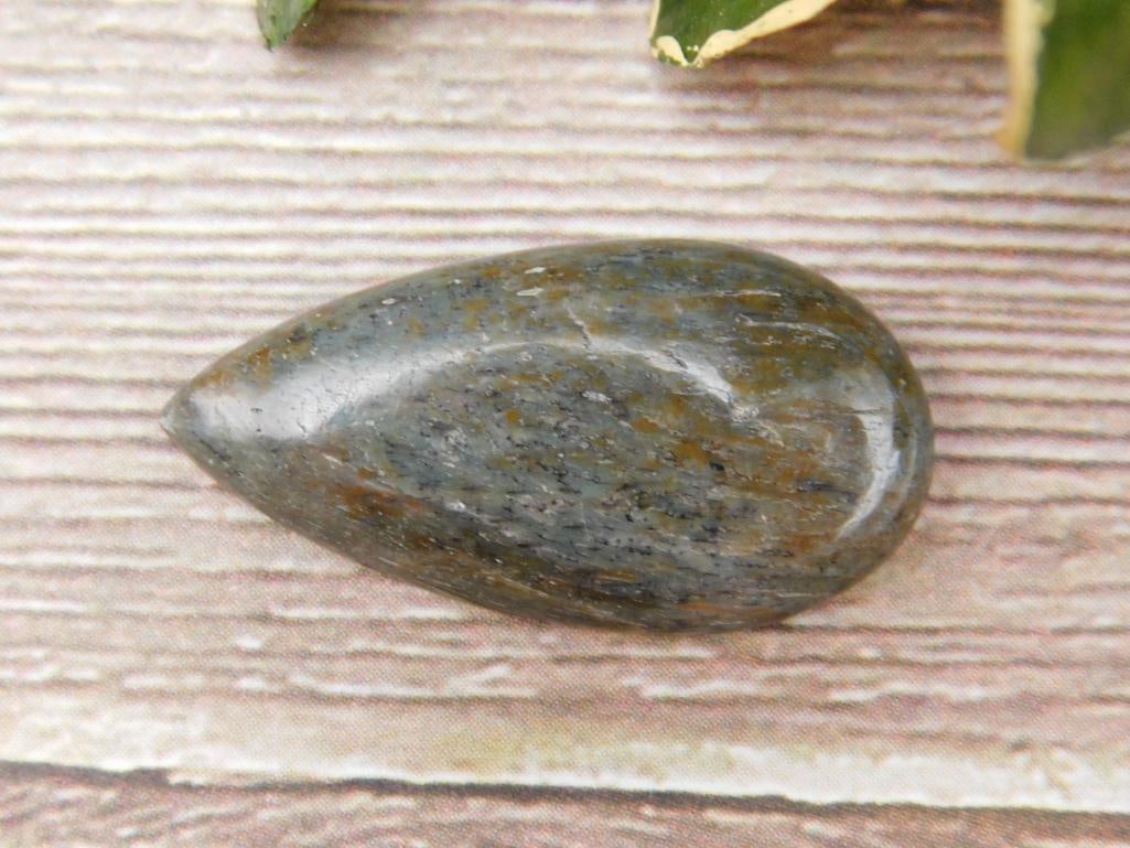 DINOSAUR BONE CABOCHON ROCK STONE LAPIDARY SPECIMEN: DINOSAUR BONE CABOCHON ROCK STONE LAPIDARY SPECIMEN