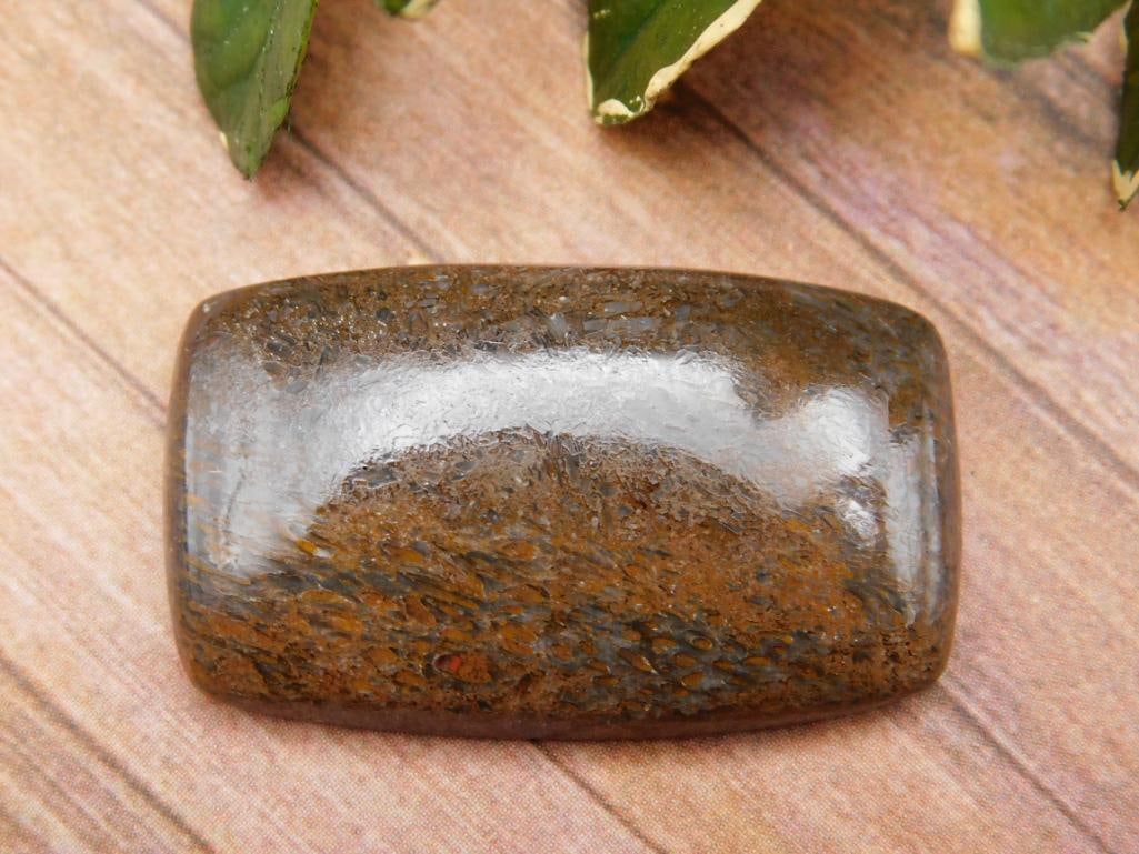 DINOSAUR BONE CABOCHON ROCK STONE LAPIDARY SPECIMEN: DINOSAUR BONE CABOCHON ROCK STONE LAPIDARY SPECIMEN