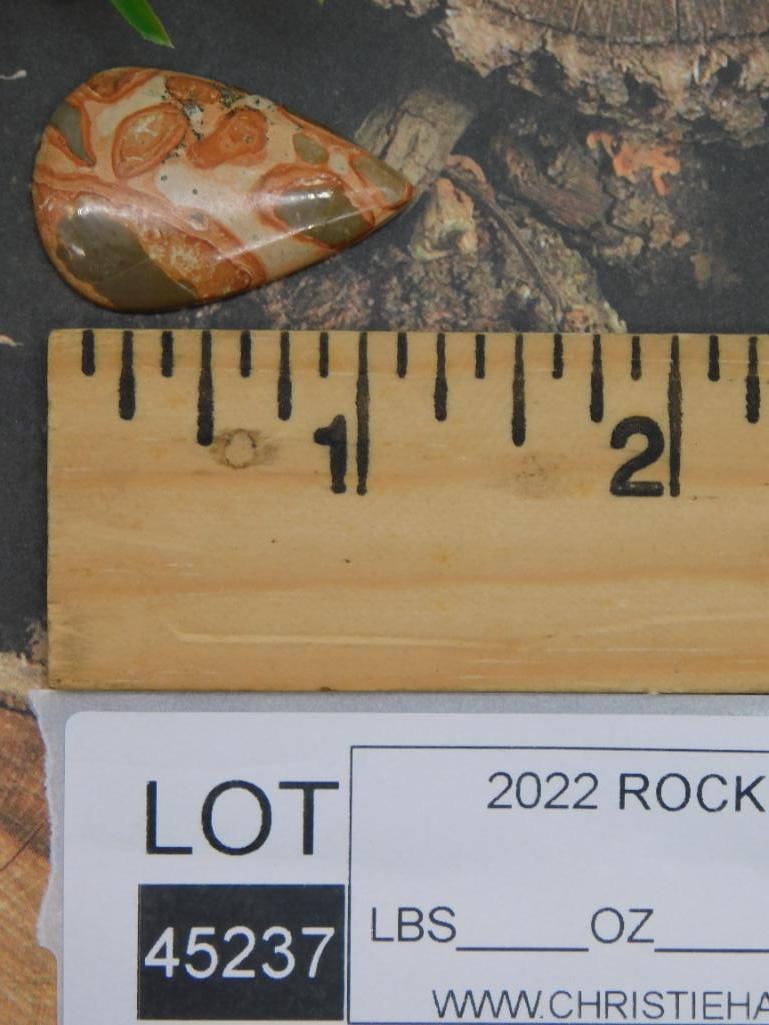 FOSSIL BONE CABOCHON ROCK STONE LAPIDARY SPECIMEN - 2