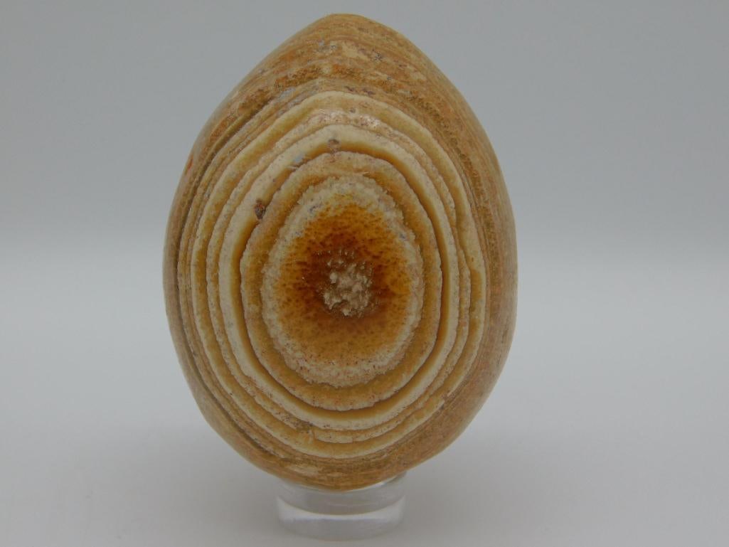 STONE EGG ROCK STONE LAPIDARY SPECIMEN (1 of 2)