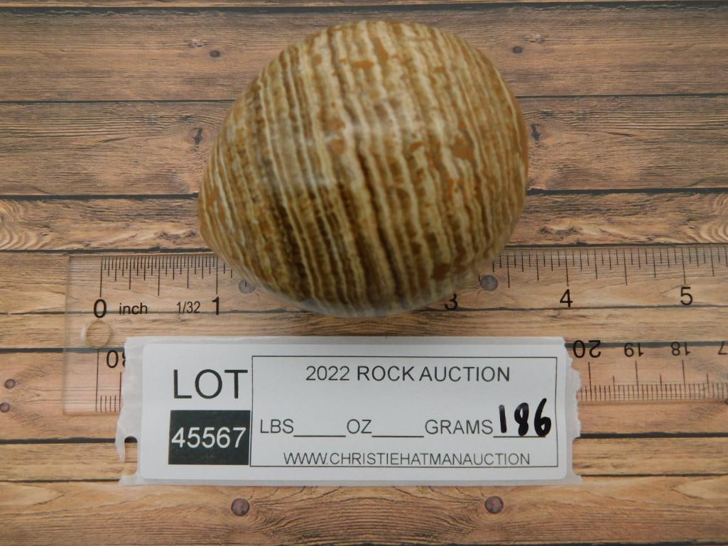 STONE EGG ROCK STONE LAPIDARY SPECIMEN - 3