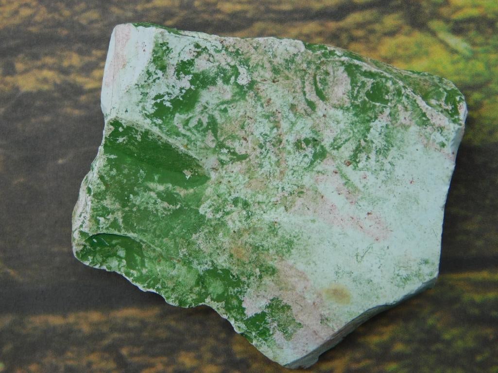 GREEN ZEBRA ROCK STONE LAPIDARY SPECIMEN: GREEN ZEBRA ROCK STONE LAPIDARY SPECIMEN