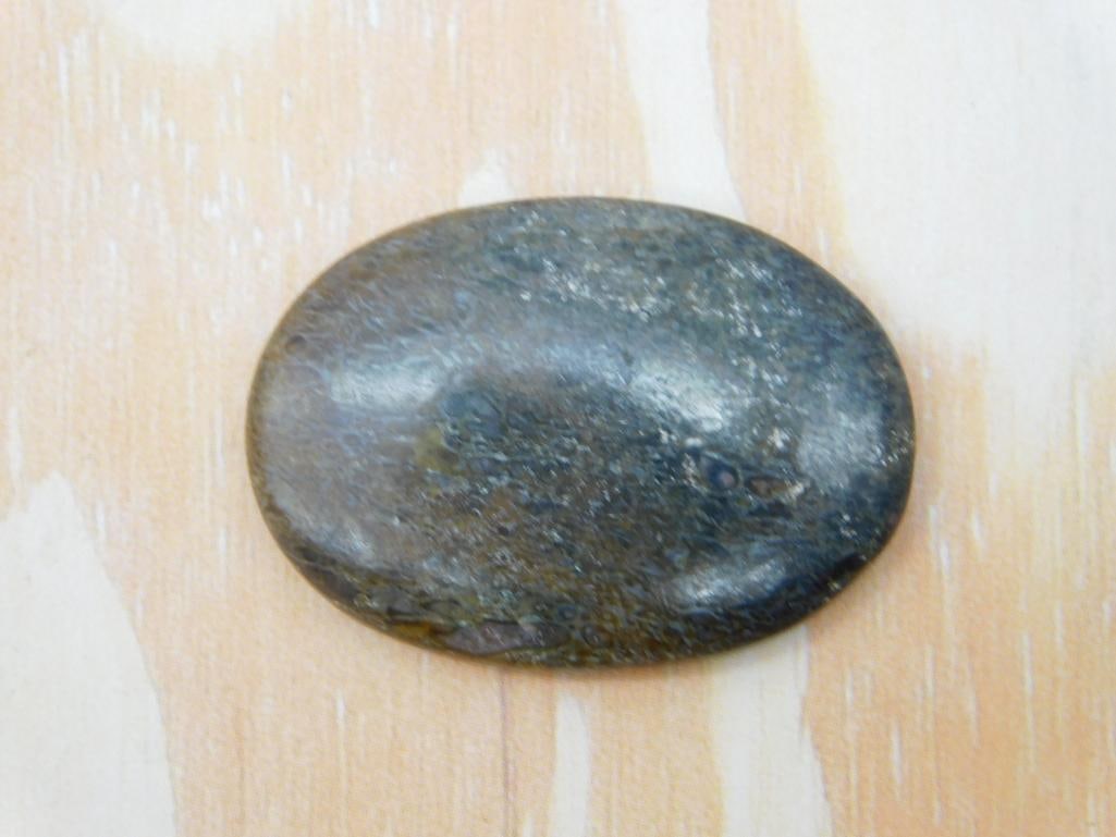 DINOSAUR BONE CABOCHON ROCK STONE LAPIDARY SPECIMEN: DINOSAUR BONE CABOCHON ROCK STONE LAPIDARY SPECIMEN
