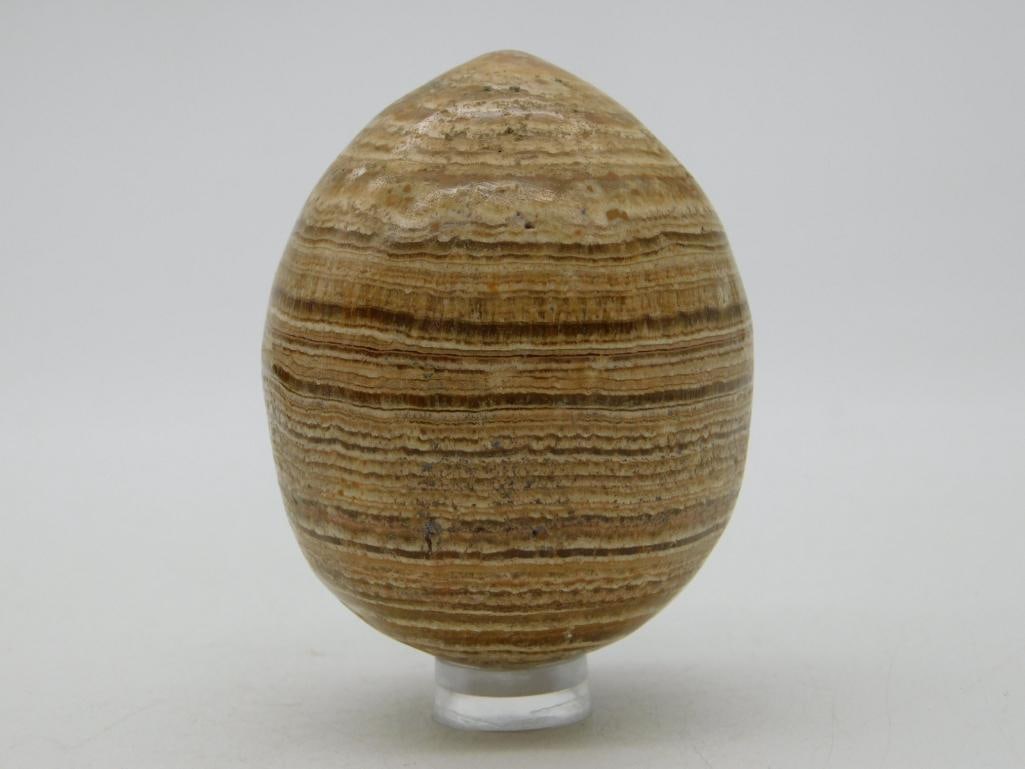 STONE EGG ROCK STONE LAPIDARY SPECIMEN: STONE EGG ROCK STONE LAPIDARY SPECIMEN