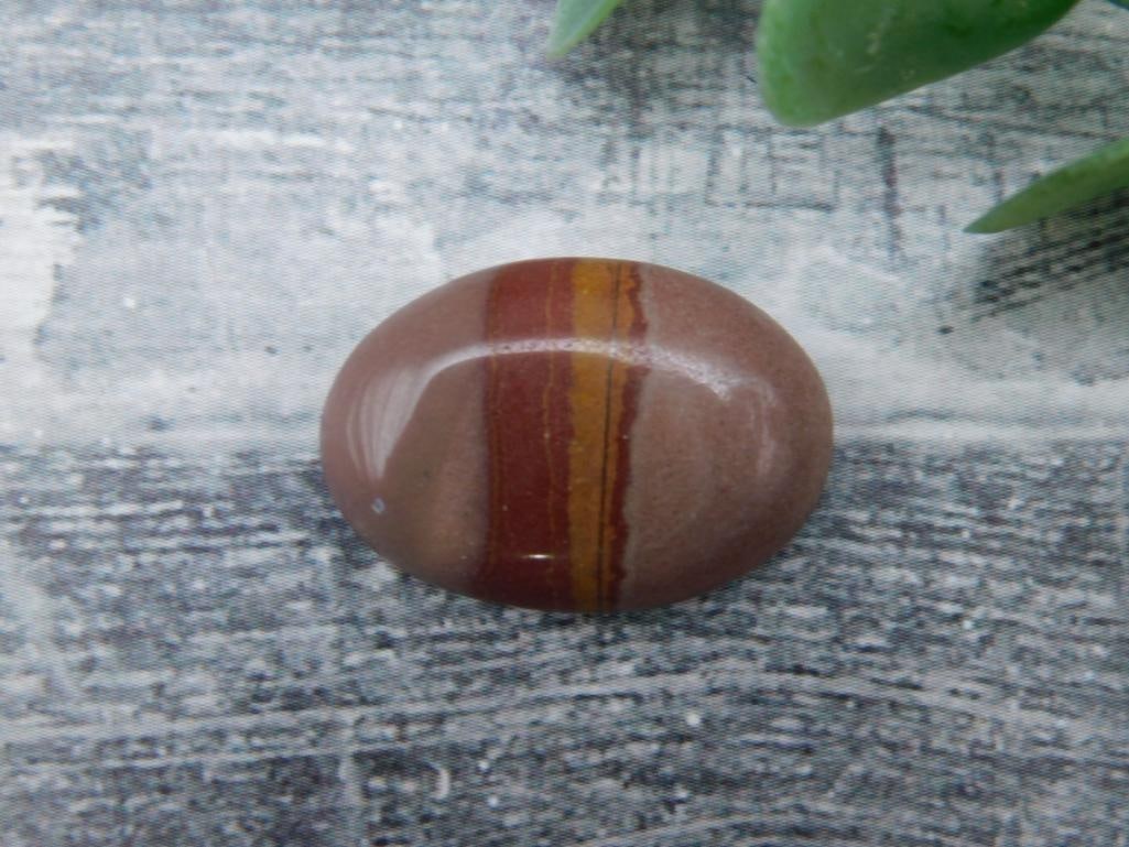 NOREENA JASPER CABOCHON ROCK STONE LAPIDARY SPECIMEN: NOREENA JASPER CABOCHON ROCK STONE LAPIDARY SPECIMEN