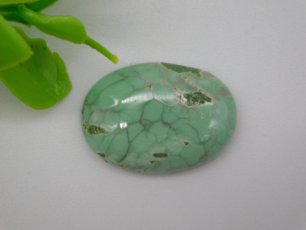 VARISCITE CABOCHON ROCK STONE LAPIDARY SPECIMEN (1 of 2)