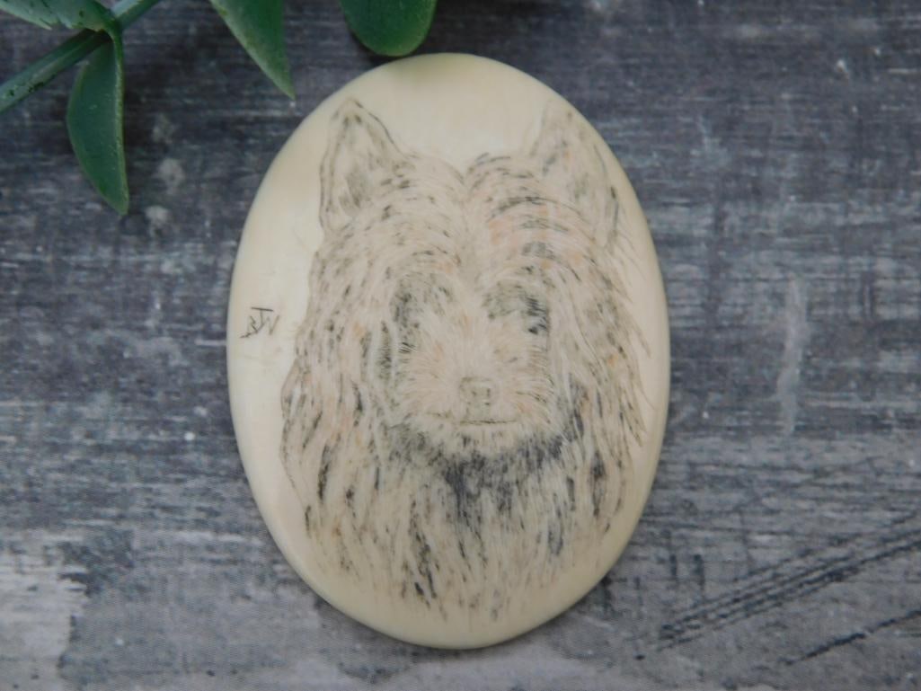 SCRIMSHAW CABOCHON ROCK STONE LAPIDARY SPECIMEN: SCRIMSHAW CABOCHON ROCK STONE LAPIDARY SPECIMEN