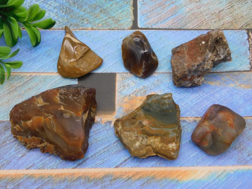 MIXED LOT ROCK STONE LAPIDARY SPECIMEN (1 of 2)