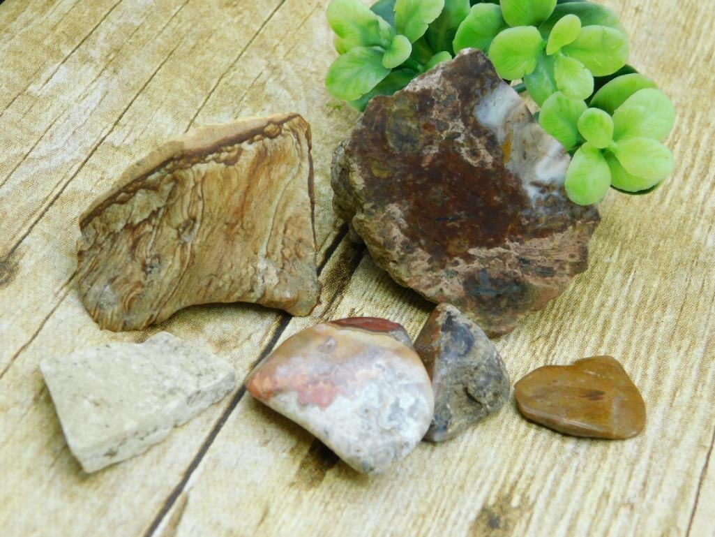 MIXED STONE LOT ROCK STONE LAPIDARY SPECIMEN (1 of 2)