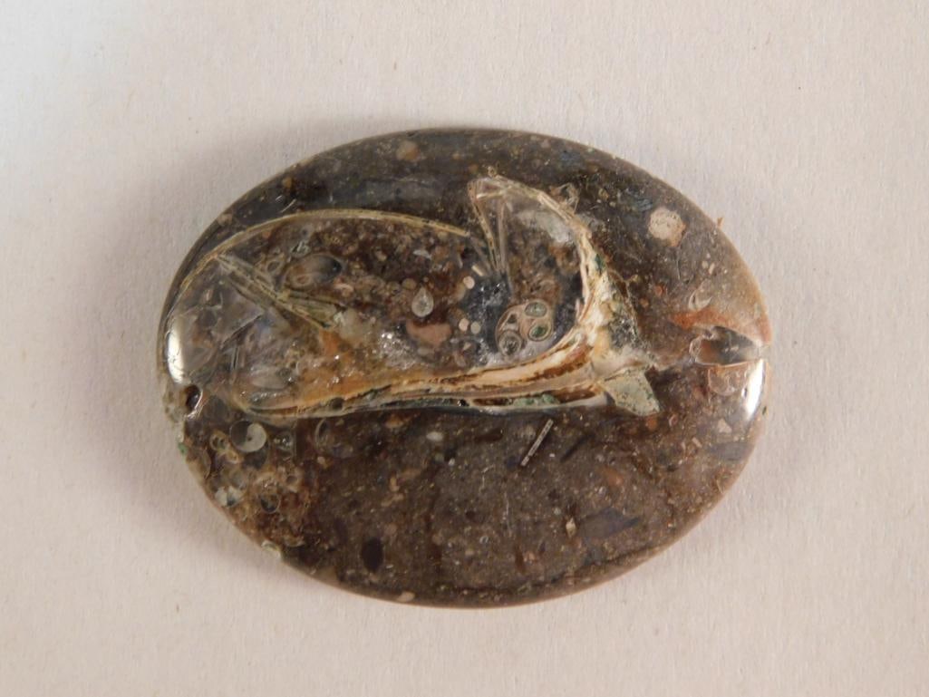 COLUS CABOCHON ROCK STONE LAPIDARY SPECIMEN (1 of 2)
