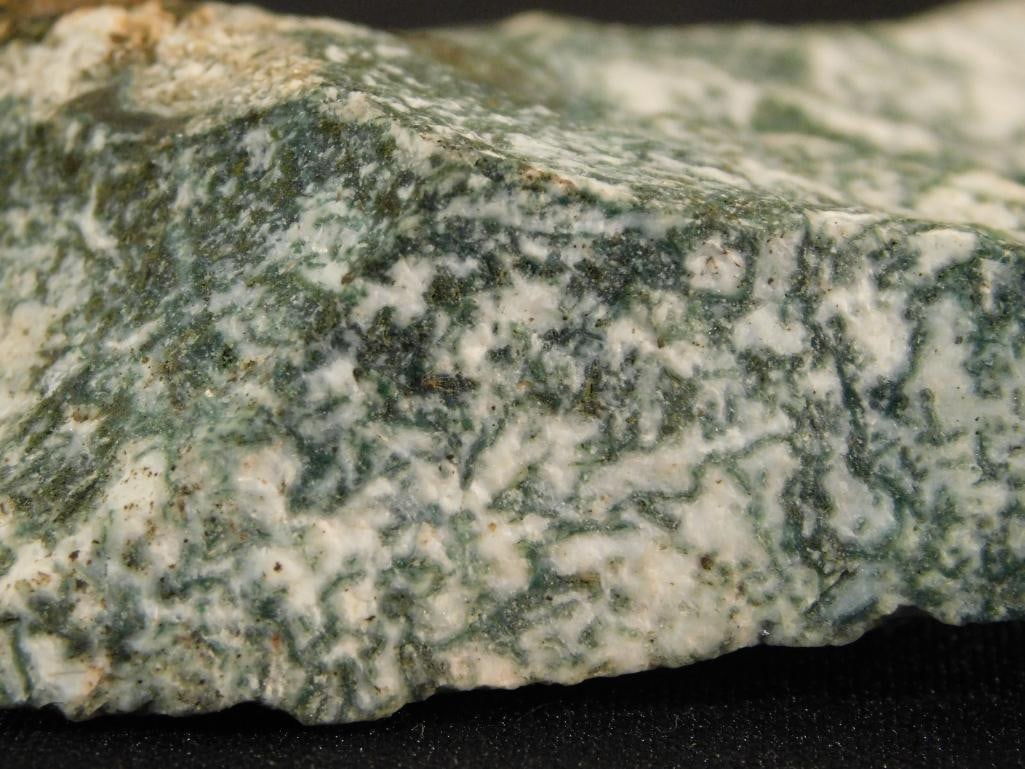 TREE AGATE ROCK STONE LAPIDARY SPECIMEN - 3