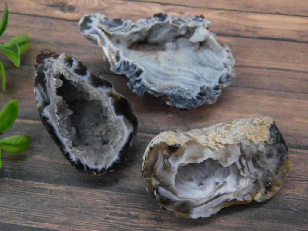 OCO GEODES ROCK STONE LAPIDARY SPECIMEN (1 of 4)