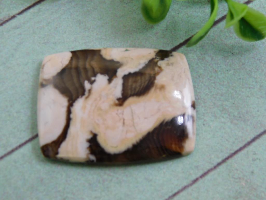 PEANUT WOOD JASPER CABOCHON ROCK STONE LAPIDARY SPECIMEN: PEANUT WOOD JASPER CABOCHON ROCK STONE LAPIDARY SPECIMEN