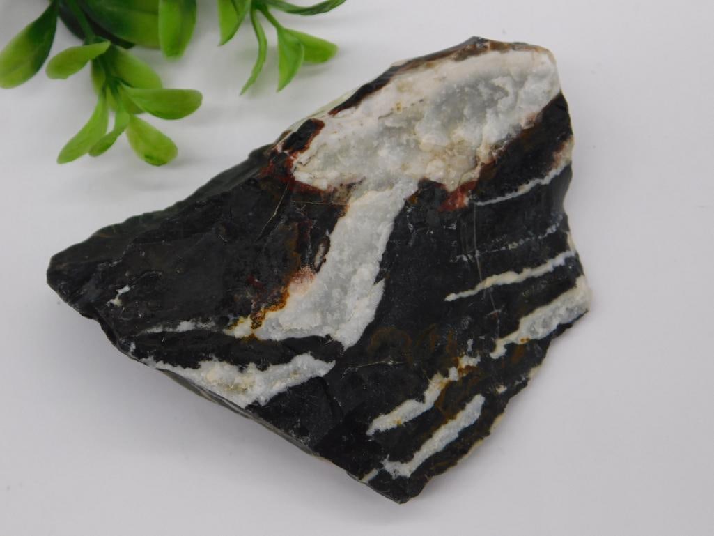 ZEBRA ROCK STONE LAPIDARY SPECIMEN (1 of 3)