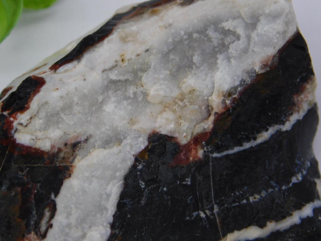 ZEBRA ROCK STONE LAPIDARY SPECIMEN - 2