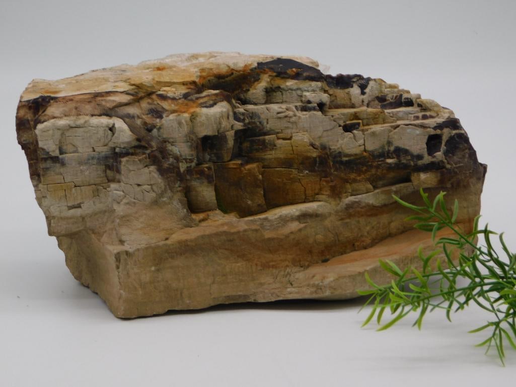 11 POUND ROCK STONE LAPIDARY SPECIMEN: 11 POUND ROCK STONE LAPIDARY SPECIMEN