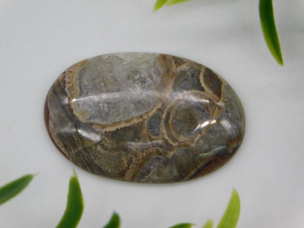 RHYOLITE CABOCHON ROCK STONE LAPIDARY SPECIMEN (1 of 2)