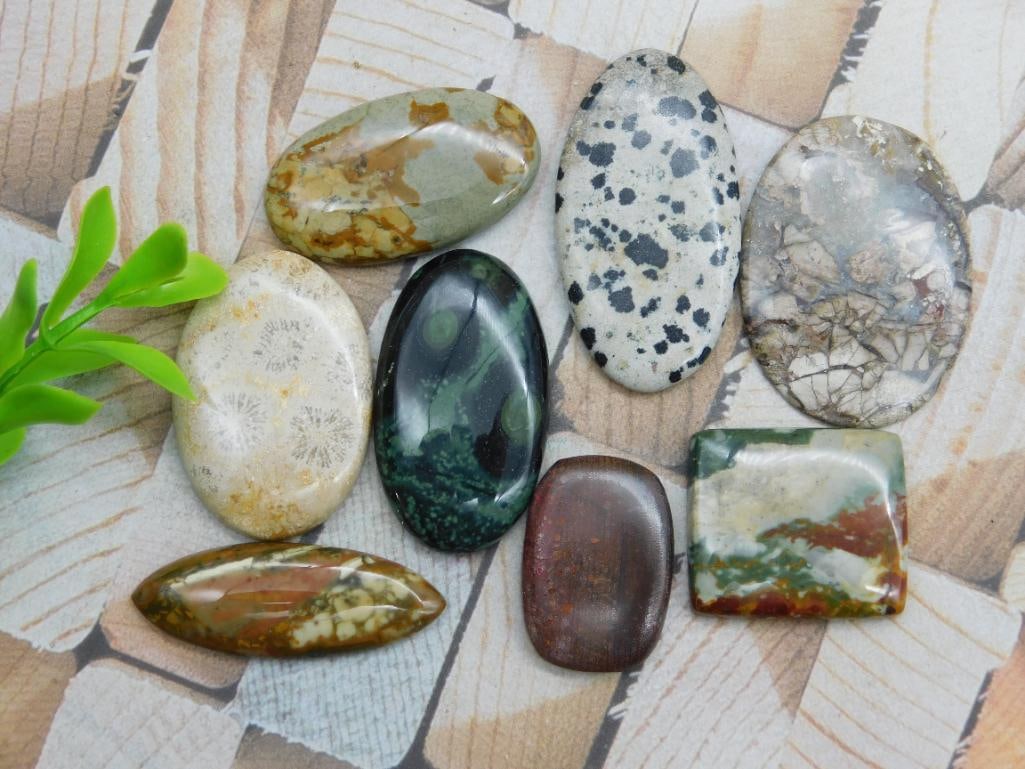 CABOCHONS ROCK STONE LAPIDARY SPECIMEN: CABOCHONS ROCK STONE LAPIDARY SPECIMEN