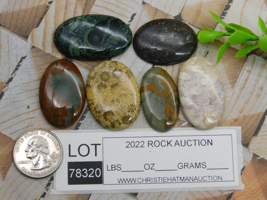 CABOCHONS ROCK STONE LAPIDARY SPECIMEN - 2