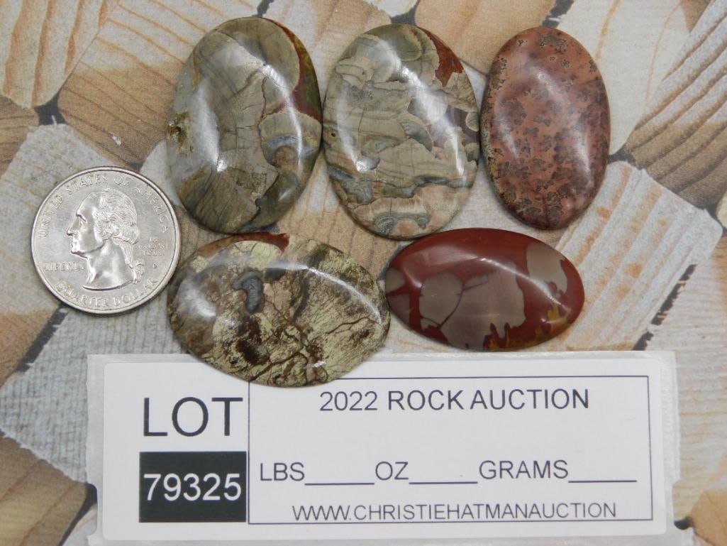 CABOCHONS ROCK STONE LAPIDARY SPECIMEN - 2