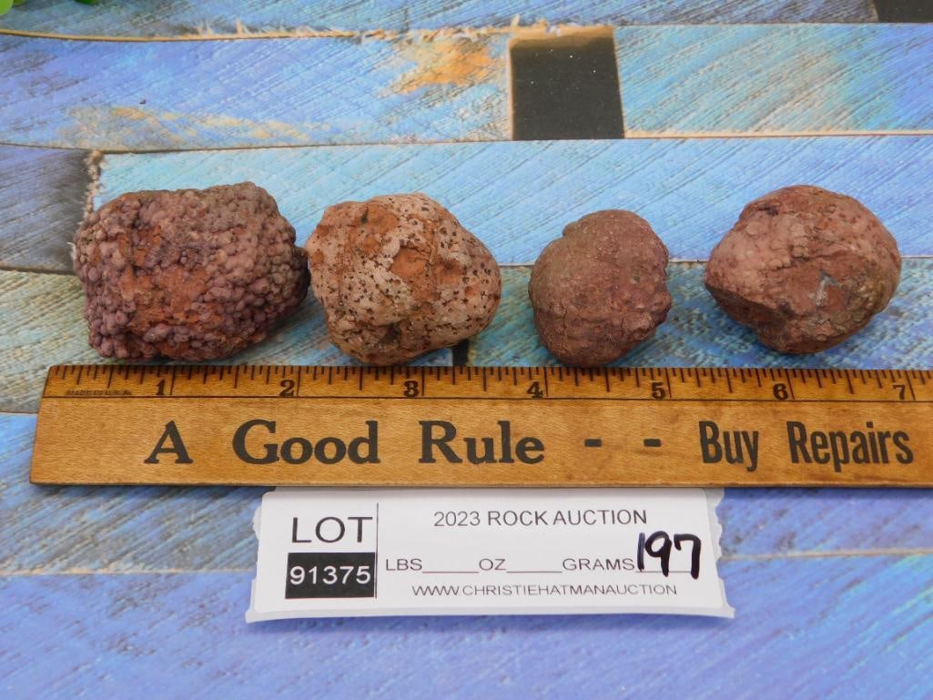 COPROLITE ROCK STONE LAPIDARY SPECIMEN - 2