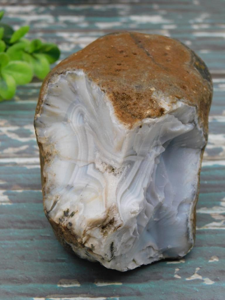 AGATE ROCK STONE LAPIDARY SPECIMEN: AGATE ROCK STONE LAPIDARY SPECIMEN