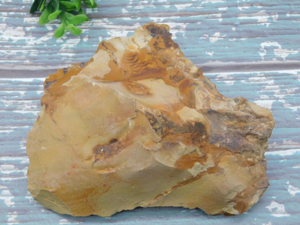 2 POUND JASPER ROCK STONE LAPIDARY SPECIMEN: 2 POUND JASPER ROCK STONE LAPIDARY SPECIMEN