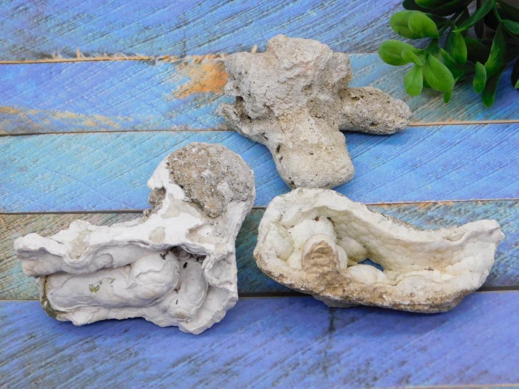 AGATIZED QUARTZ ROCK STONE LAPIDARY SPECIMEN: AGATIZED QUARTZ ROCK STONE LAPIDARY SPECIMEN