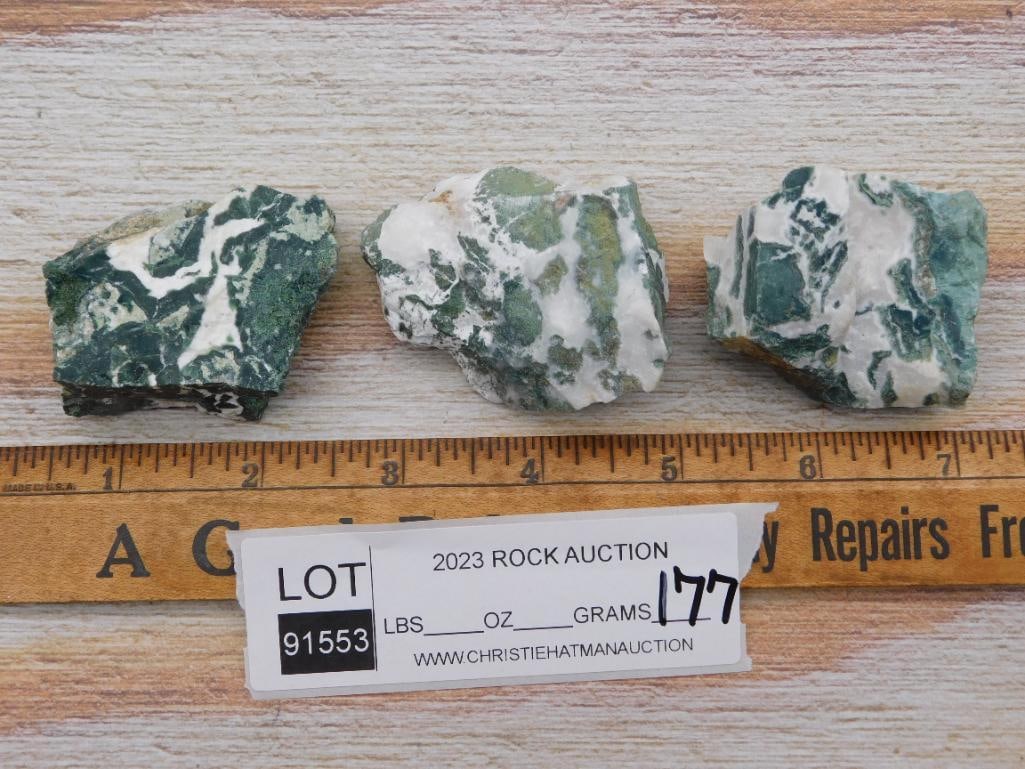 TREE AGATE ROCK STONE LAPIDARY SPECIMEN - 2