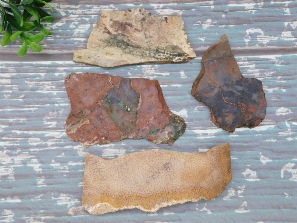 MIXED SLAB LOT ROCK STONE LAPIDARY SPECIMEN: MIXED SLAB LOT ROCK STONE LAPIDARY SPECIMEN
