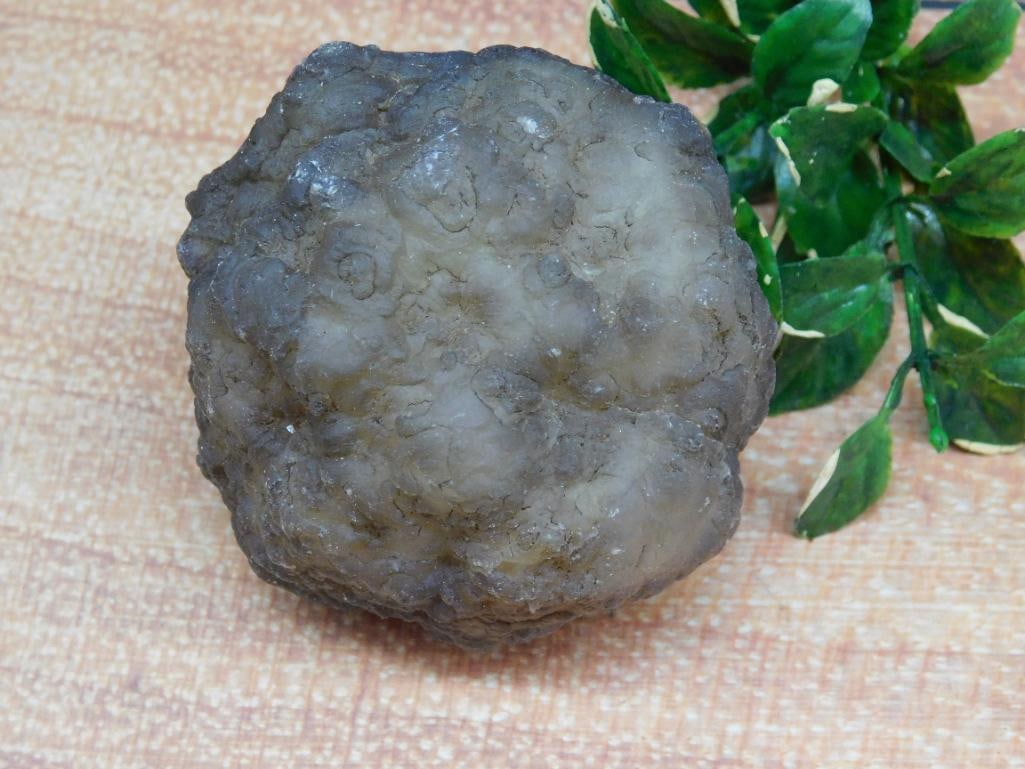 BOTRYOIDAL CHALCEDONY ROCK STONE LAPIDARY SPECIMEN: BOTRYOIDAL CHALCEDONY ROCK STONE LAPIDARY SPECIMEN