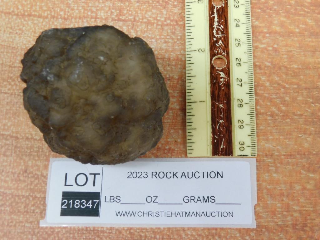BOTRYOIDAL CHALCEDONY ROCK STONE LAPIDARY SPECIMEN - 2