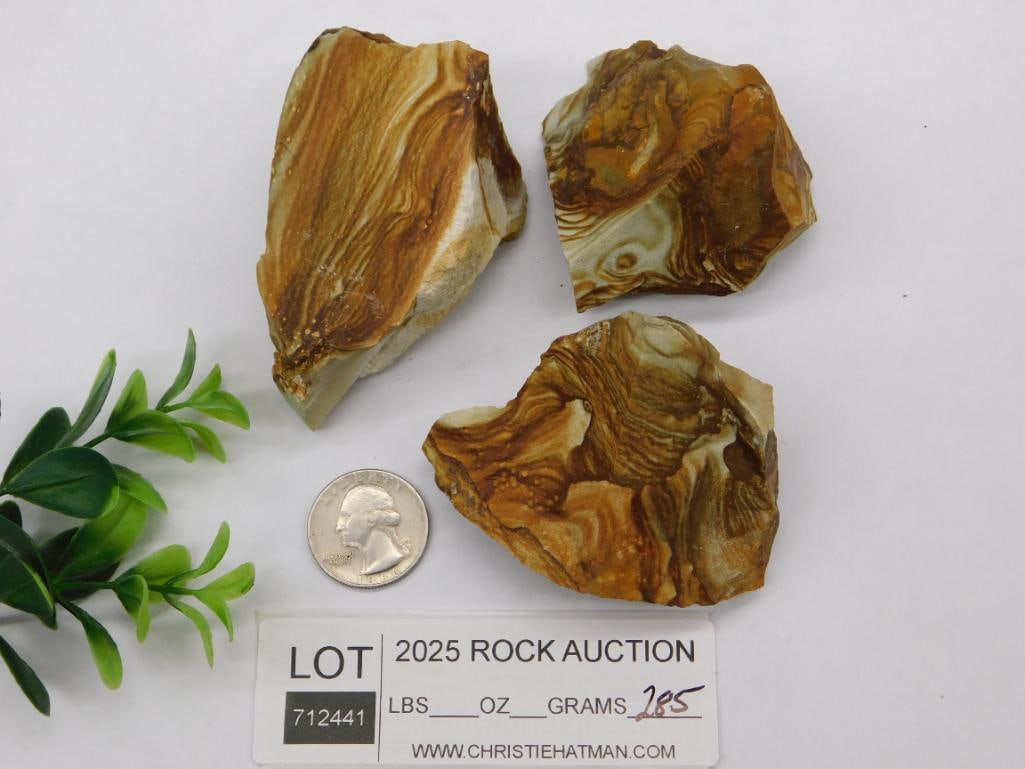 JASPER ROCK STONE LAPIDARY SPECIMEN - 2