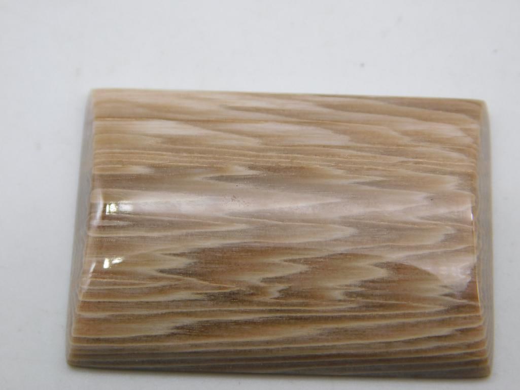 PETRIFIED PALM WOOD CABOCHON ROCK STONE LAPIDARY SPECIMEN: PETRIFIED PALM WOOD CABOCHON ROCK STONE LAPIDARY SPECIMEN