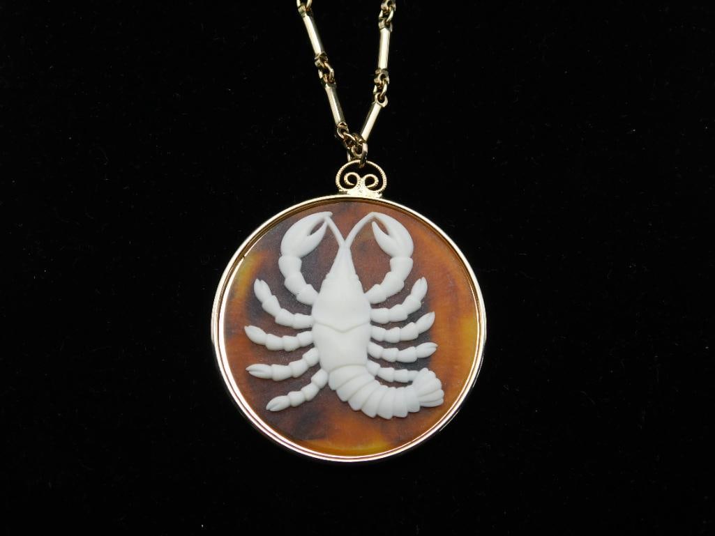 CANCER PENDANT ON CHAIN NECKLACE ROCK STONE LAPIDARY SPECIMEN: CANCER PENDANT ON CHAIN NECKLACE ROCK STONE LAPIDARY SPECIMEN