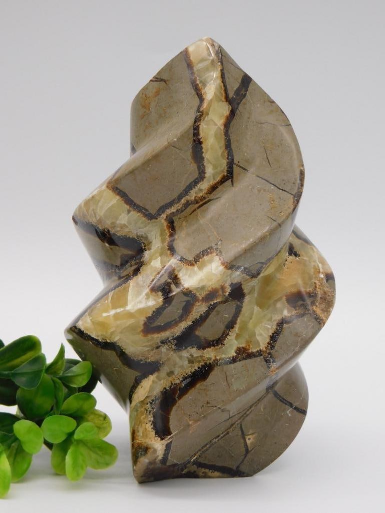 SEPTARIAN TWIST ROCK STONE LAPIDARY SPECIMEN: SEPTARIAN TWIST ROCK STONE LAPIDARY SPECIMEN