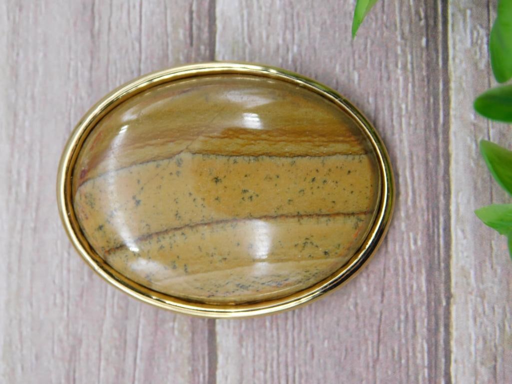 JASPER BROOCH ROCK STONE LAPIDARY SPECIMEN: JASPER BROOCH ROCK STONE LAPIDARY SPECIMEN