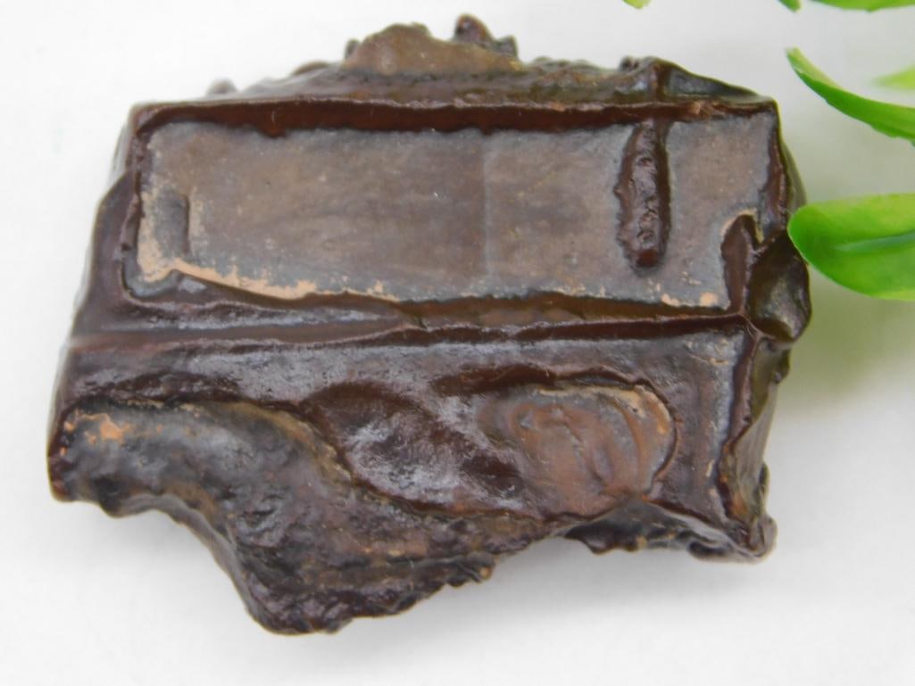 STROMATOLITE ROCK STONE LAPIDARY SPECIMEN: STROMATOLITE ROCK STONE LAPIDARY SPECIMEN