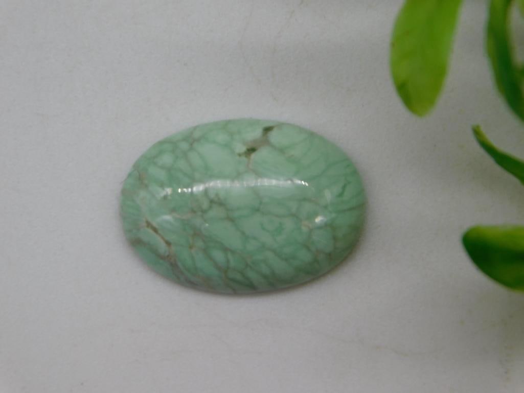 VARISCITE CABOCHON ROCK STONE LAPIDARY SPECIMEN (1 of 2)