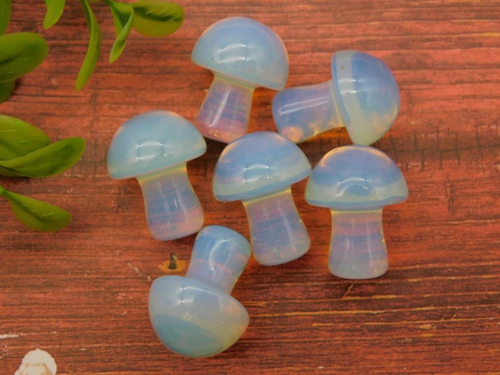 OPALITE MUSHROOMS ROCK STONE LAPIDARY SPECIMEN: OPALITE MUSHROOMS ROCK STONE LAPIDARY SPECIMEN