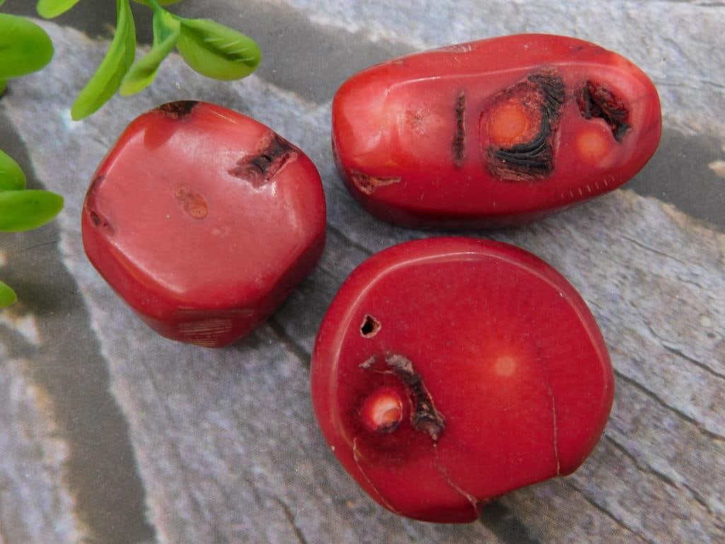 RED CORAL ROCK STONE LAPIDARY SPECIMEN: RED CORAL ROCK STONE LAPIDARY SPECIMEN