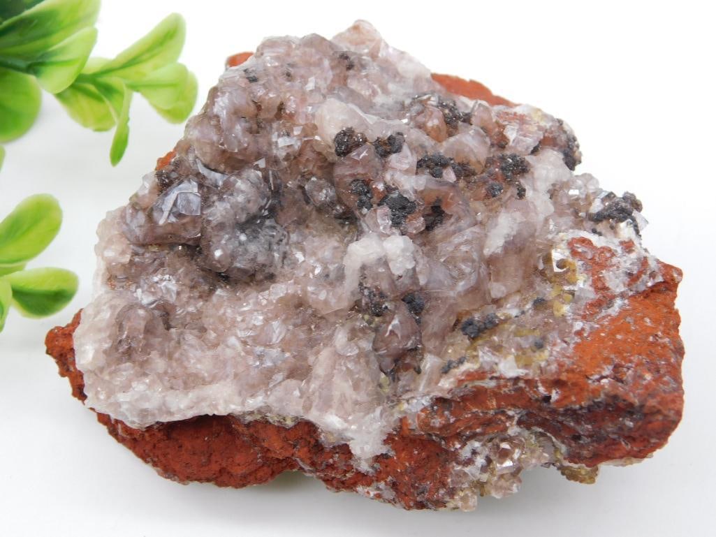 CHALCEDONY ROCK STONE LAPIDARY SPECIMEN: CHALCEDONY ROCK STONE LAPIDARY SPECIMEN