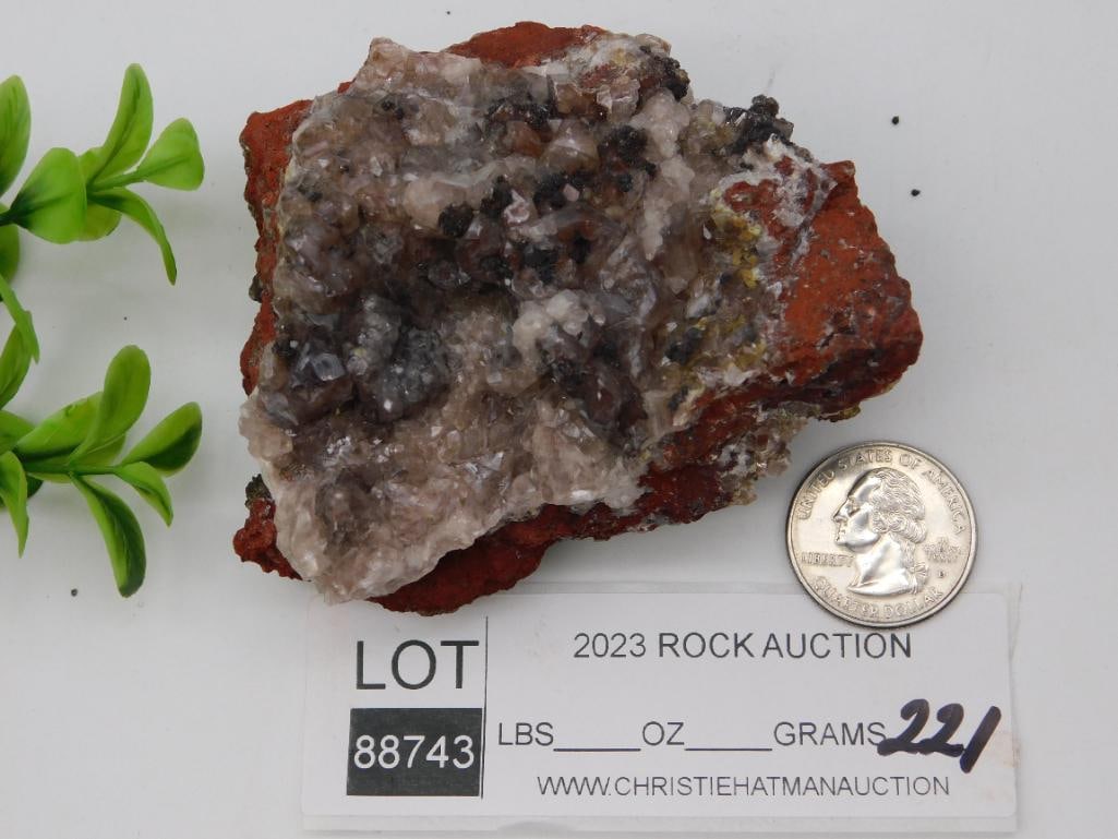 CHALCEDONY ROCK STONE LAPIDARY SPECIMEN - 2