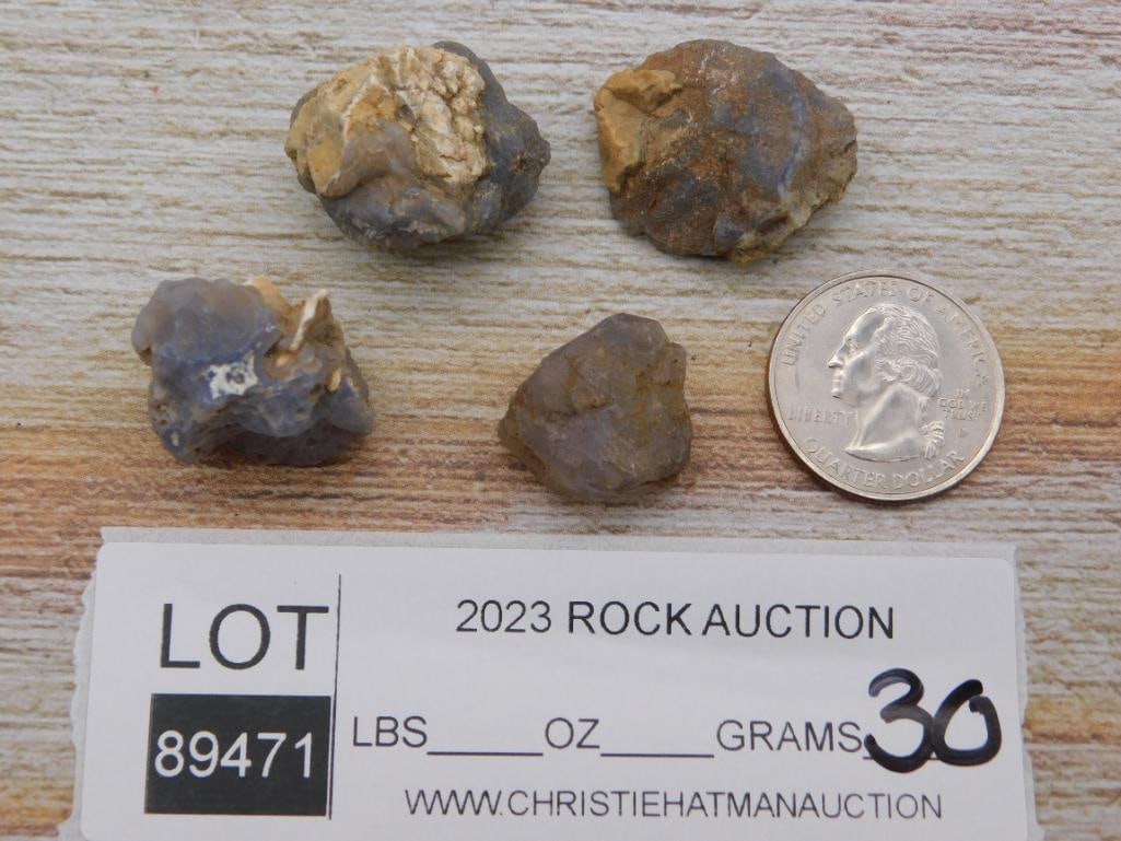 ELLENSBURG AGATE ROCK STONE LAPIDARY SPECIMEN - 2