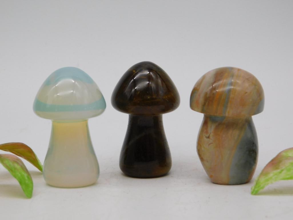 STONE MUSHROOMS ROCK STONE LAPIDARY SPECIMEN: STONE MUSHROOMS ROCK STONE LAPIDARY SPECIMEN