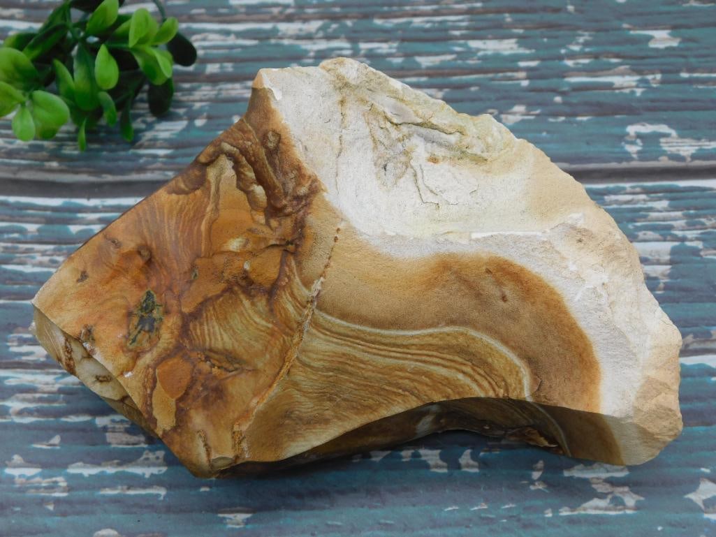 JASPER ROCK STONE LAPIDARY SPECIMEN: JASPER ROCK STONE LAPIDARY SPECIMEN